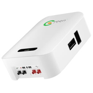 Green-Deer-10KWH-Wall-Mounted-Home-Energy-1